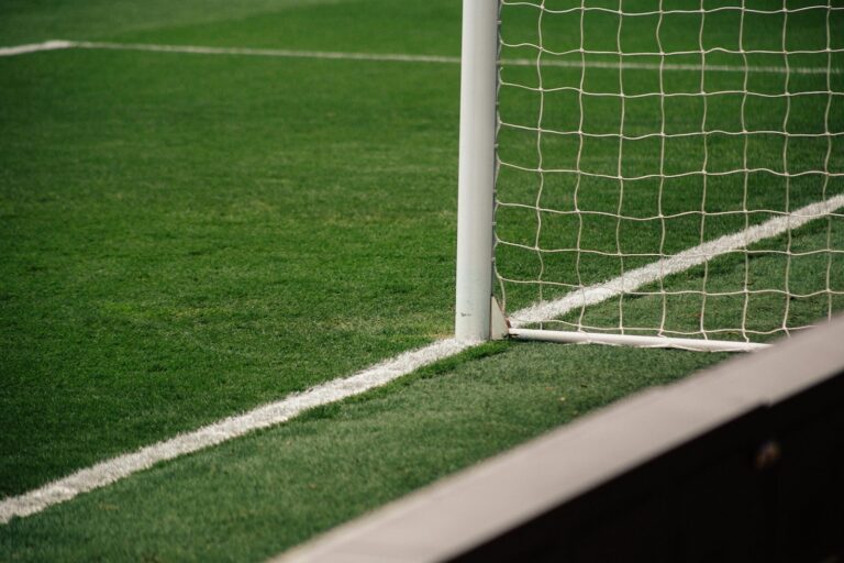 football goal and field representing multi-sports club
